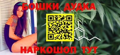 сатива Сланцы