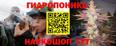 mdpv Славянск-на-Кубани