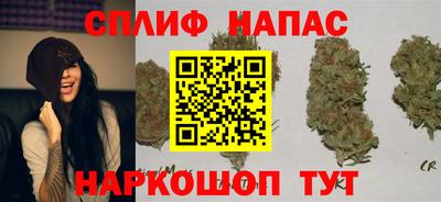 трава Славгород